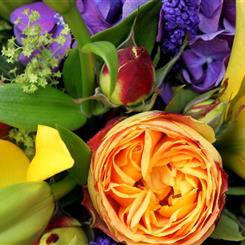Florist Choice Basket Bright