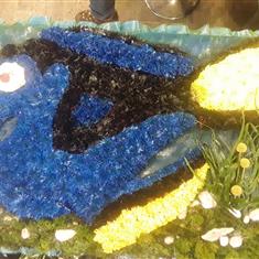 Dory tribute 