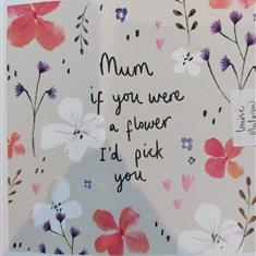 Mum if you were a flower I'd pick you 