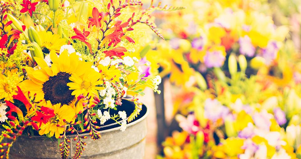Hopmarket Flowers